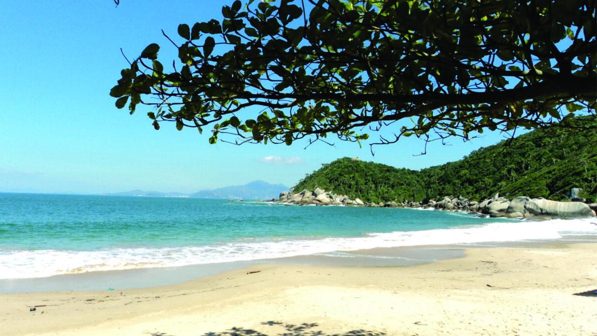 PRAIA DA TAINHA: COMPREENDA A ORIGEM DO NOME DESSA BELEZA NATURAL